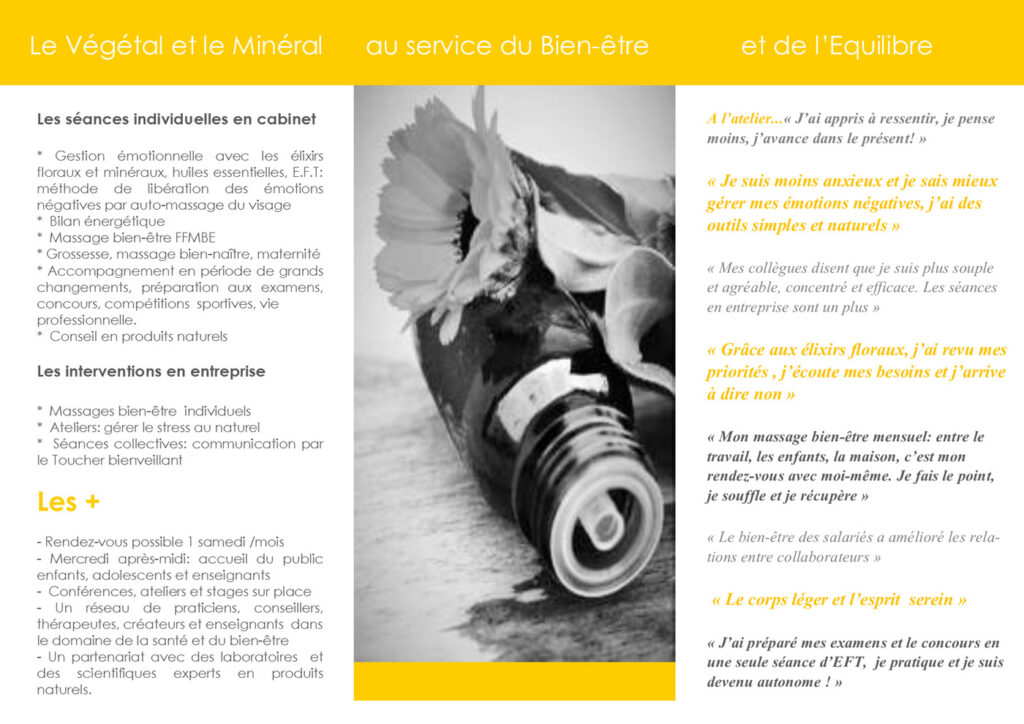 brochure 1